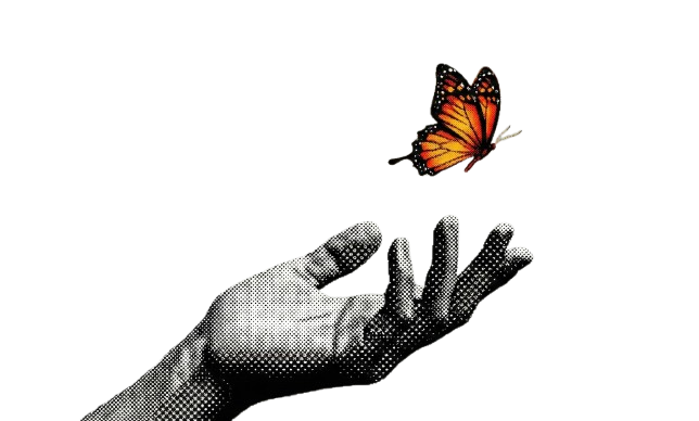 Monarch landing illustration: a halftone hand releasing an orange butterfly